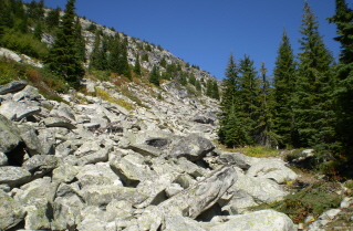 Rock slide a short distance up Little White Mtn trail 2009-09.